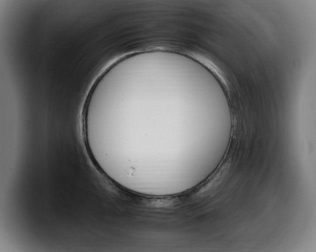 X0000099491047200805150923