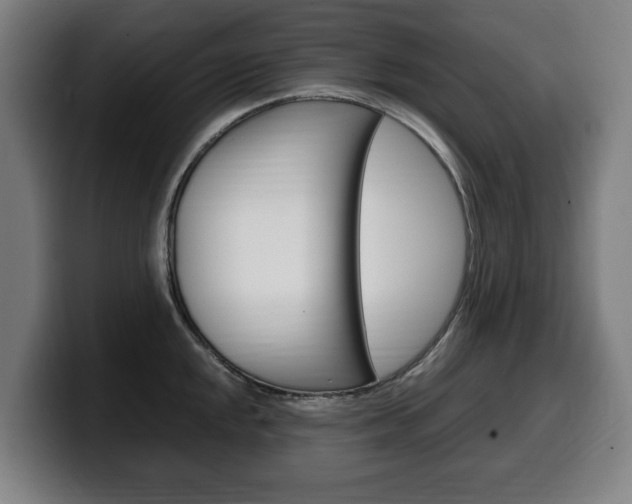 X0000099491048200805150923