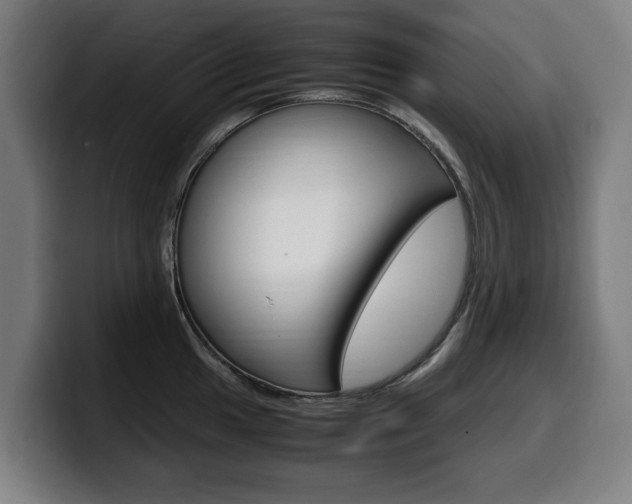 X0000099491049200805150923