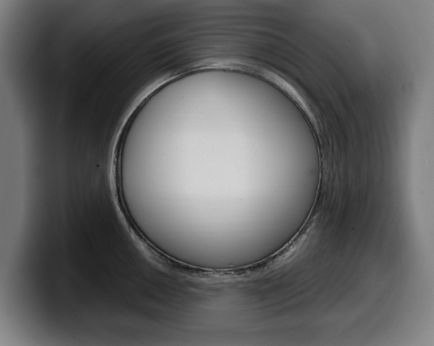 X0000099491050200805150923