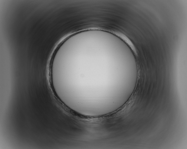 X0000099491051200805150923