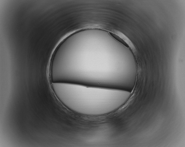 X0000099491052200805150923