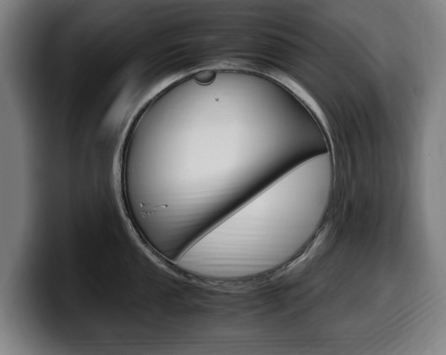 X0000099491053200805150924