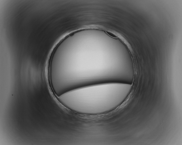 X0000099491054200805150924