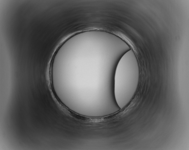 X0000099491055200805150924