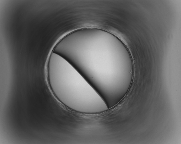 X0000099491056200805150924