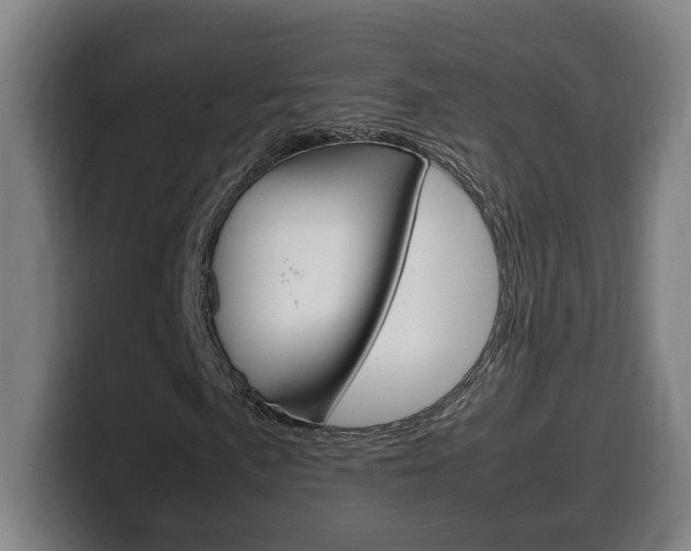 X0000099491057200805150923