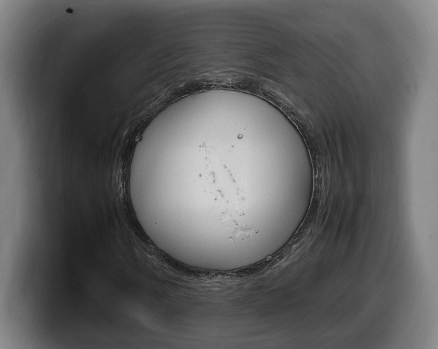 X0000099491058200805150923