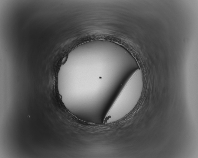 X0000099491061200805150923