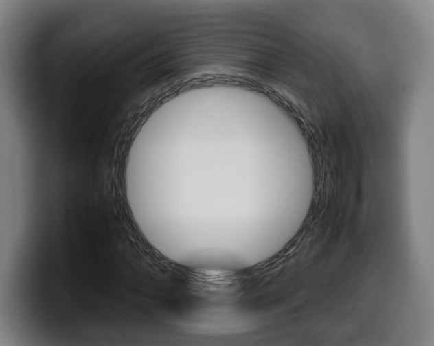 X0000099491062200805150923