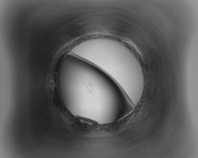 X0000099491064200805150923