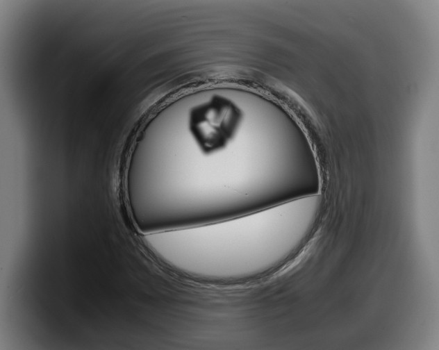 X0000099491065200805150923