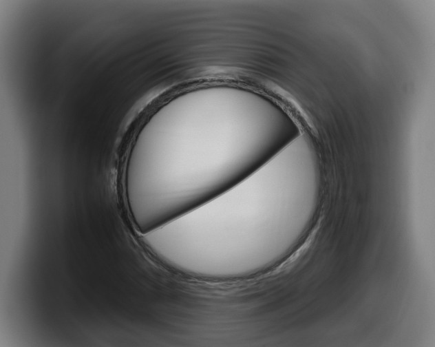 X0000099491066200805150923