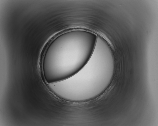 X0000099491068200805150923