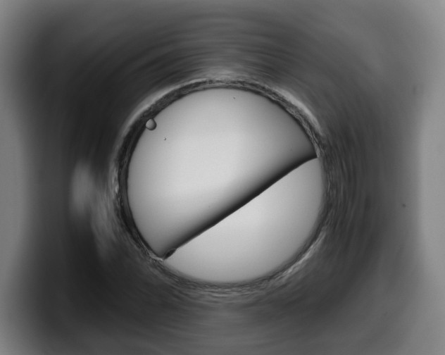 X0000099491070200805150923