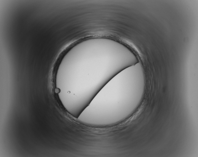 X0000099491071200805150923