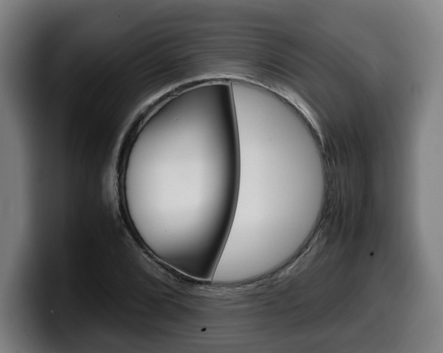 X0000099491072200805150923