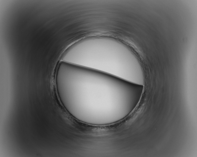 X0000099491073200805150923
