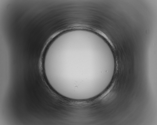 X0000099491074200805150923