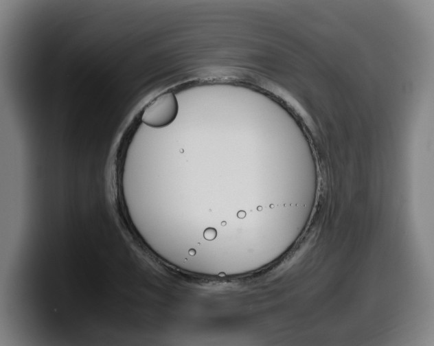 X0000099491075200805150923