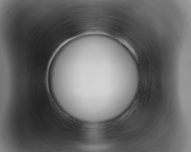 X0000099491076200805150923