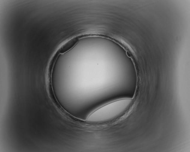 X0000099491077200805150923