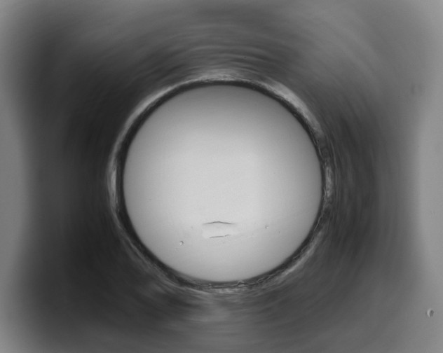 X0000099491078200805150923