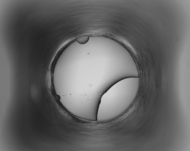 X0000099491079200805150923