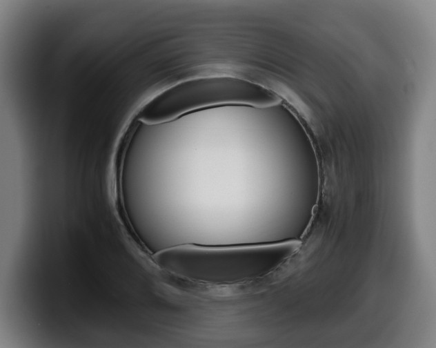 X0000099491080200805150923