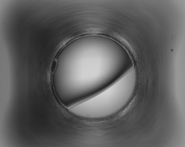 X0000099491081200805150923