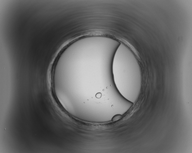 X0000099491083200805150923