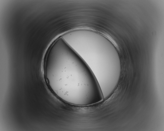 X0000099491084200805150923