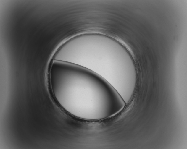 X0000099491085200805150923