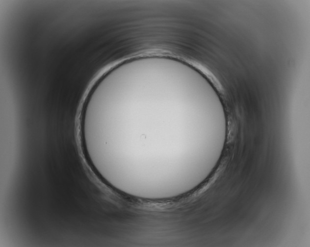 X0000099491086200805150923
