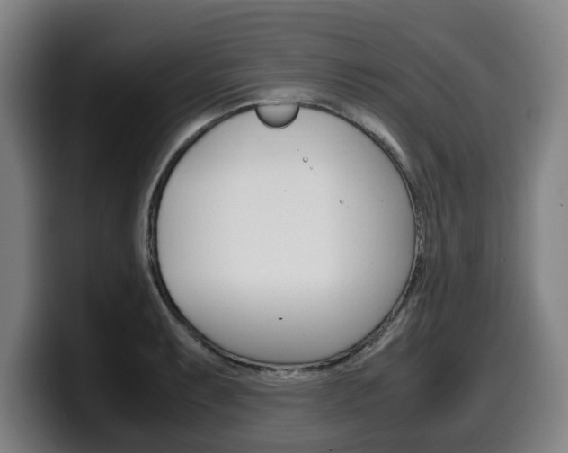 X0000099491087200805150923