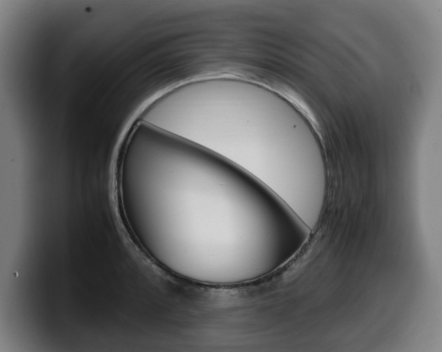 X0000099491088200805150923