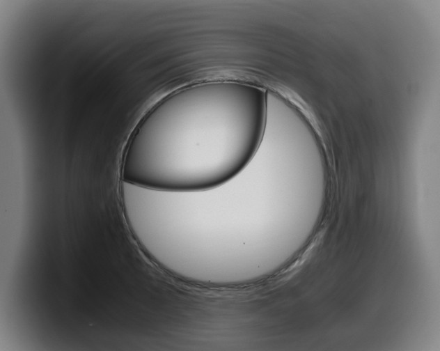 X0000099491089200805150923