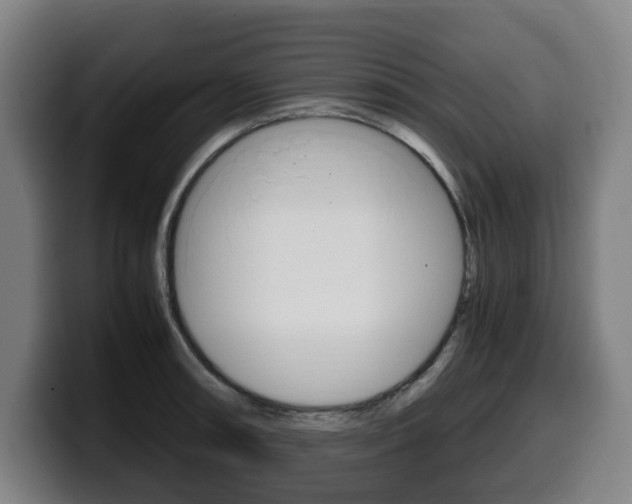 X0000099491090200805150922