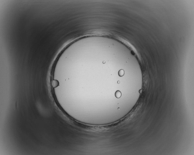 X0000099491091200805150922