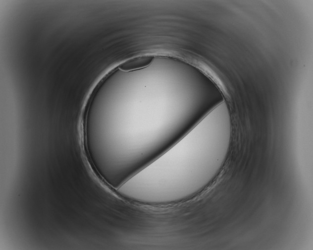 X0000099491092200805150922