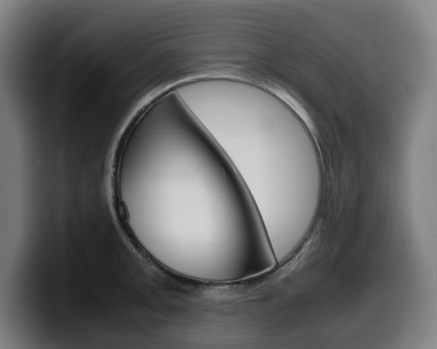 X0000099491093200805150922