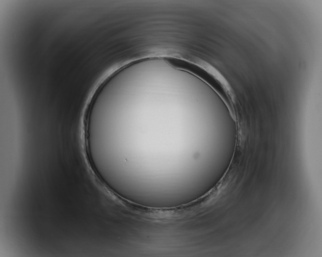 X0000099491096200805150922