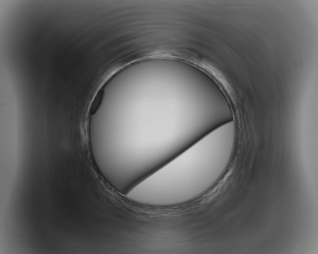 X0000099491097200805150922
