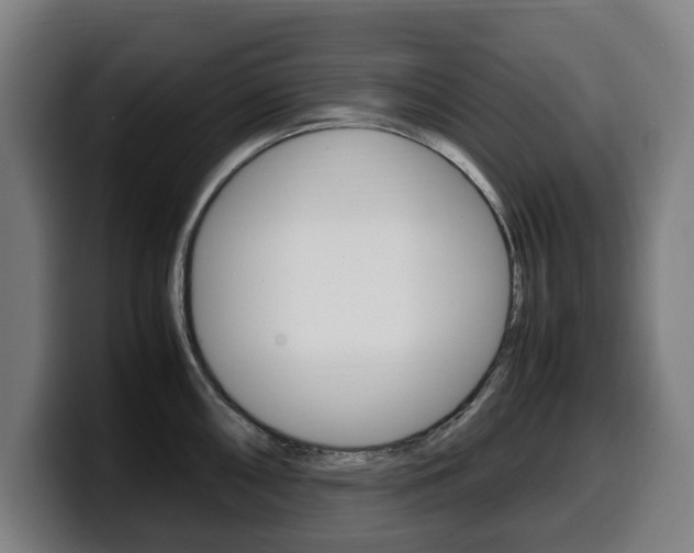 X0000099491098200805150922