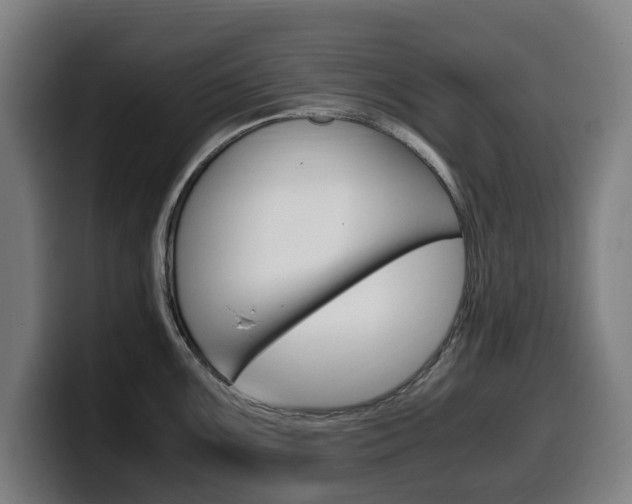 X0000099491099200805150922