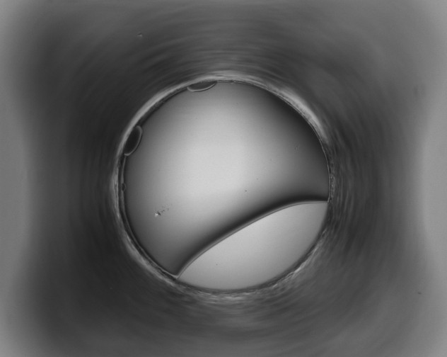 X0000099491100200805150922