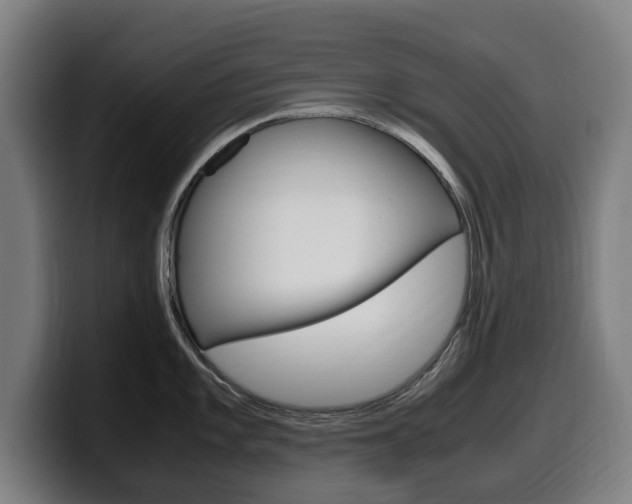 X0000099491101200805150922