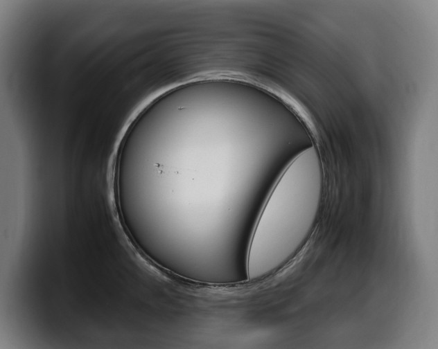 X0000099491102200805150922