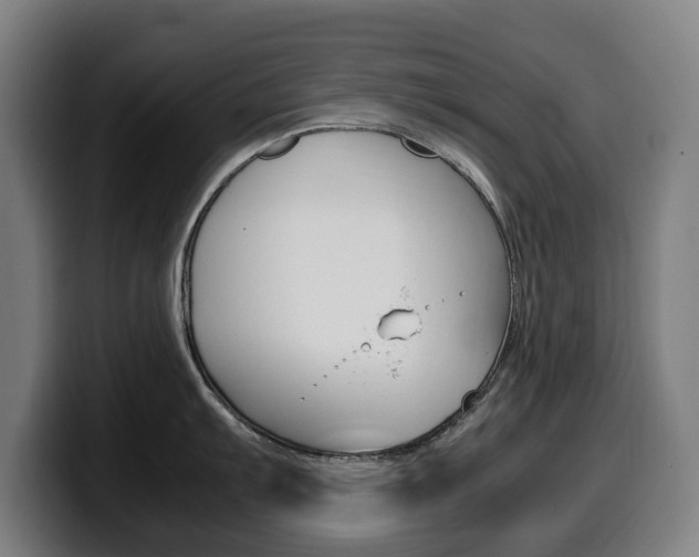 X0000099491103200805150922