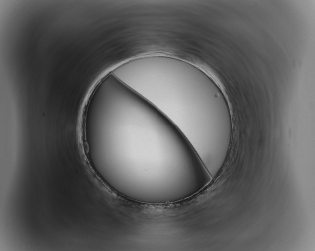 X0000099491104200805150922